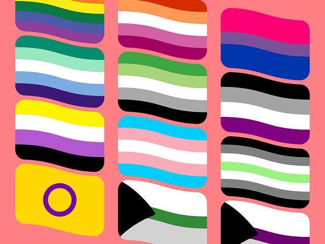 Images of the rainbow, lesbian, bisexual, genderfluid, aromantic, asexual, nonbinary, trans, agender, intersex, demiromantic, and demisexual pride flags against a salmon-colored background