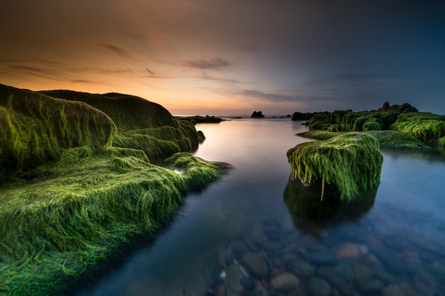 Tranquil stream with moss-covered rock banks on either side and a little mossy "island" in the middle, with large smooth rocks visible beneath the smooth surface of the water