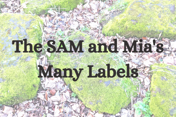 The words "The SAM and Mia's Many Labels" against a pale but bright background of mossy rocks surrounded by fallen leaves