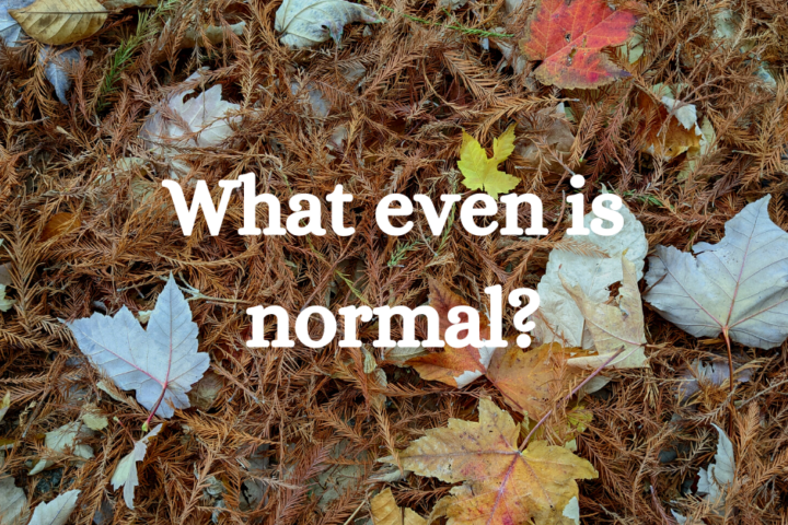 The words "what even is normal?" in white text on a dark-ish background of leaves and tree needles